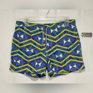 Vibrant Blue and Green Men's Swim Trunks